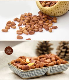 太極養(yǎng)生醫(yī)館產品全解析 泰興食品開口松子500g袋裝，品質、價格與食用體驗一網打盡